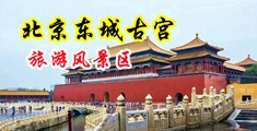 男人的坤巴插进女人的尿口中国北京-东城古宫旅游风景区